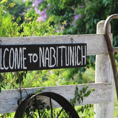 圣伊格纳西奥Nabitunich别墅 外观 照片