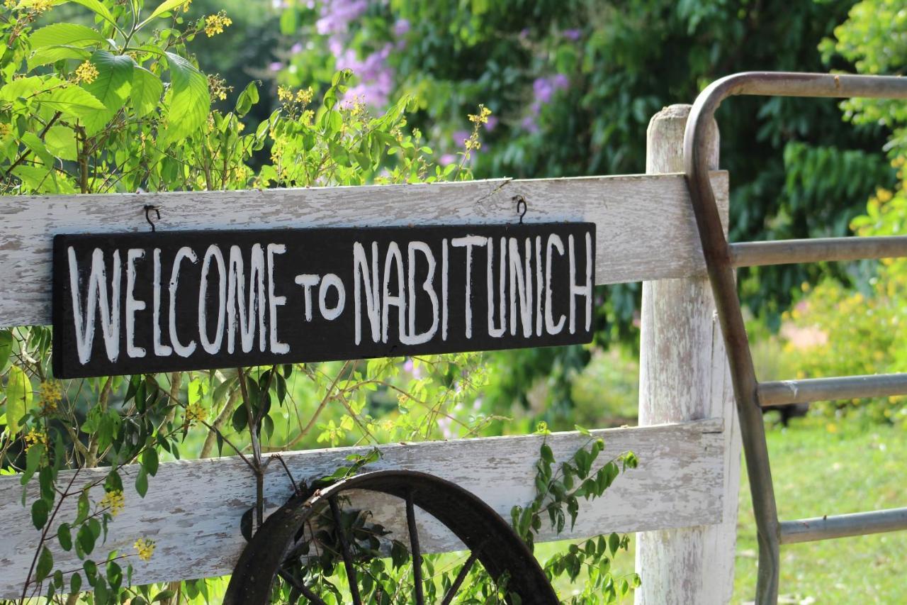 圣伊格纳西奥Nabitunich别墅 外观 照片